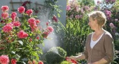 Multipurpose Home & Garden Water Spray Bottle BLACK  NOZZLE . - Image 3