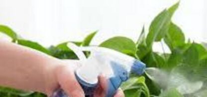 Multipurpose Home & Garden Water Spray Bottle BLACK  NOZZLE . - Image 2