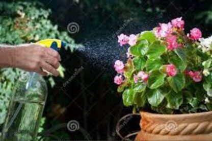 Multipurpose Home & Garden Water Spray Bottle BLACK  NOZZLE . - Image 4